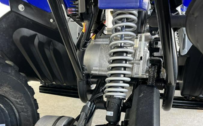 2025 Yamaha Raptor 110