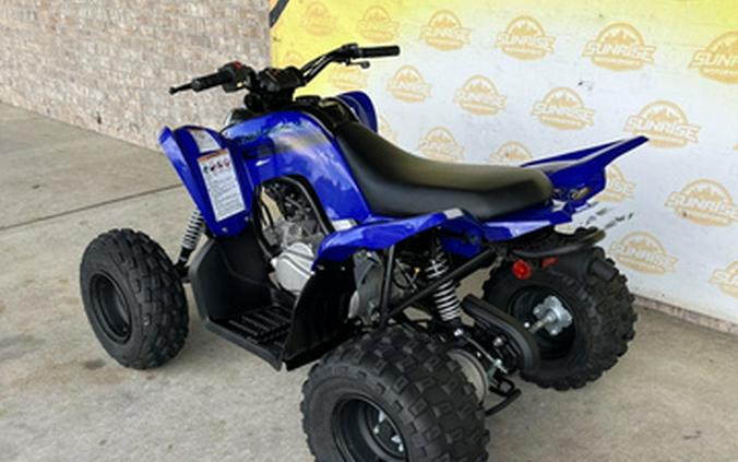 2025 Yamaha Raptor 110