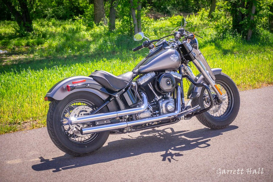 2014 Harley-Davidson® FLS - Softail Slim®