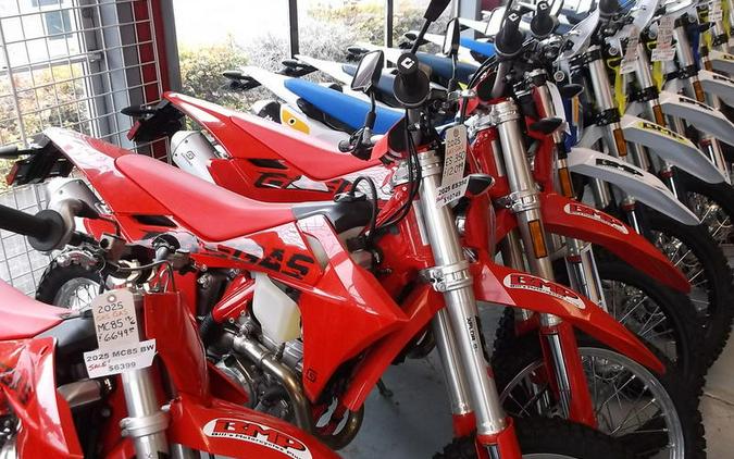 2025 GASGAS ES 500