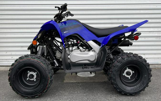 2024 Yamaha Raptor 110