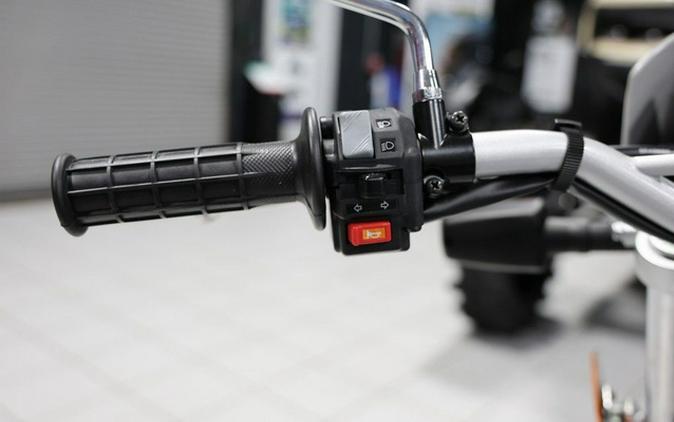 2026 Yamaha TW 200