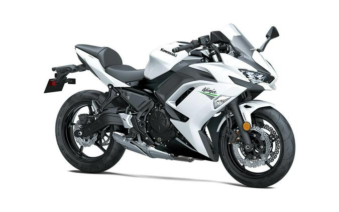 2020 Kawasaki Ninja 650 Review (14 Fast Facts)