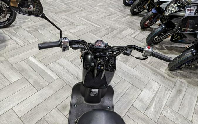 2024 Honda Ruckus