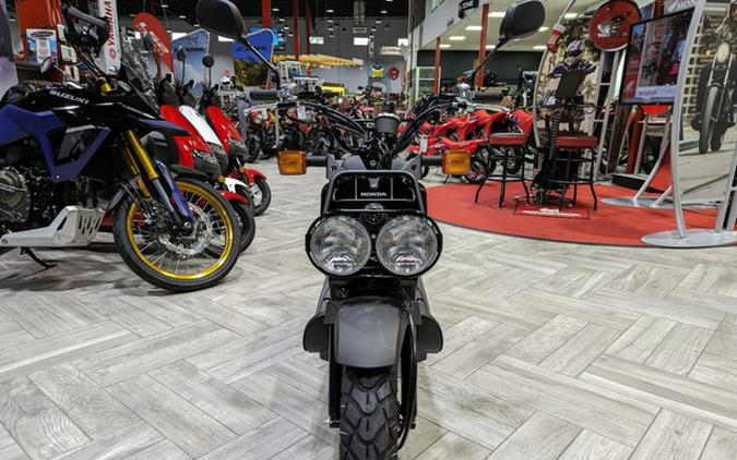 2024 Honda Ruckus