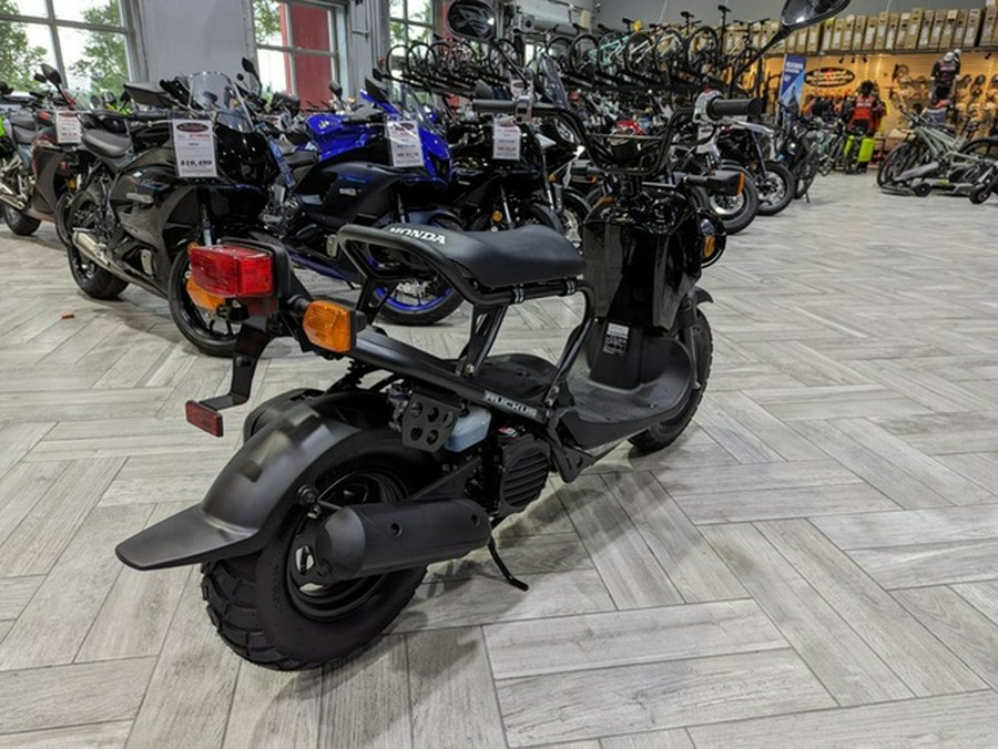 2024 Honda Ruckus