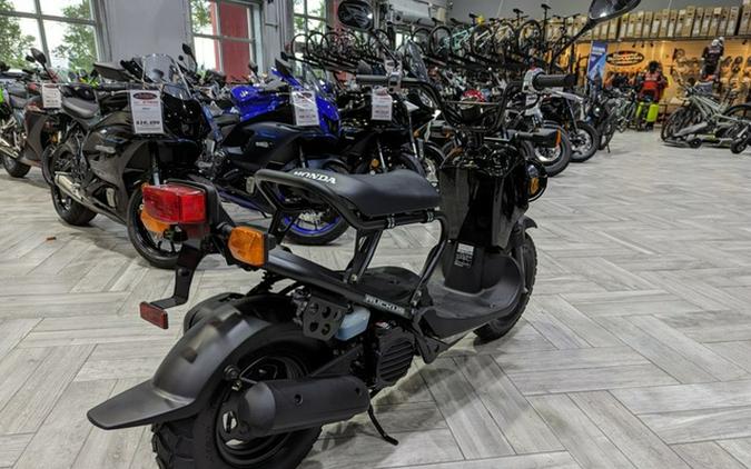 2024 Honda Ruckus