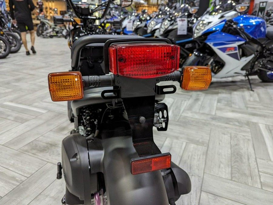 2024 Honda Ruckus