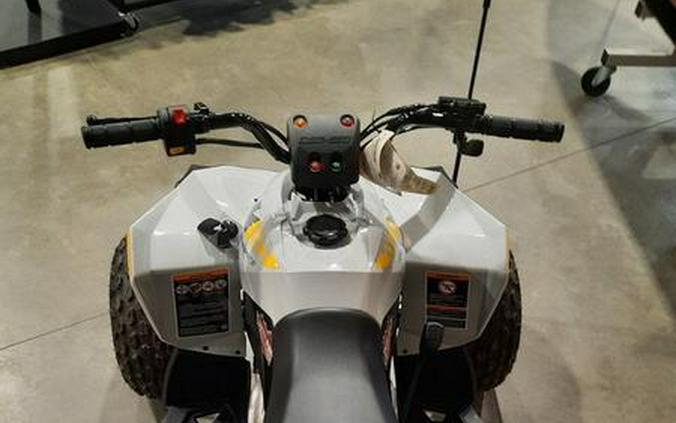 2024 Can-Am® Renegade 110 EFI