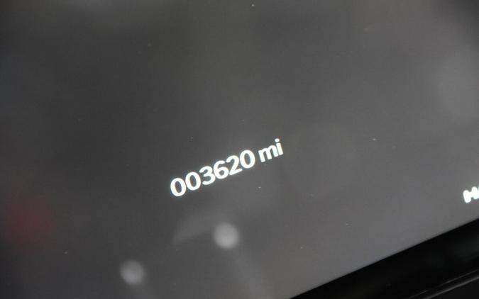 2024 Harley-Davidson Road Glide