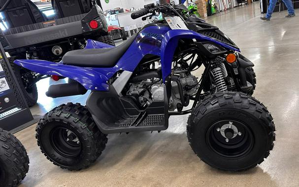 2024 Yamaha Raptor 110