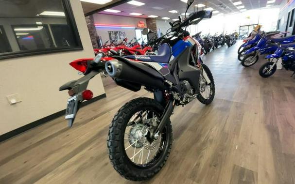2025 Honda® CRF300L Rally ABS