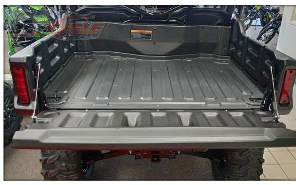 2025 Honda Pioneer 1000