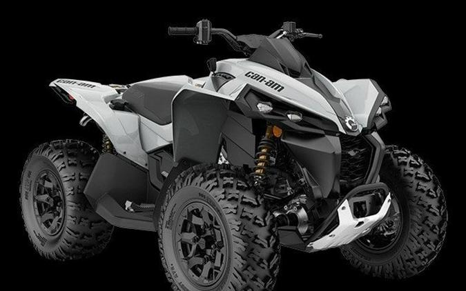 New 2024 CAN-AM RENEGADE 650 CATALYST GRAY