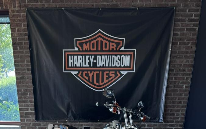 2018 Harley-Davidson Low Rider Bonneville Salt Pearl