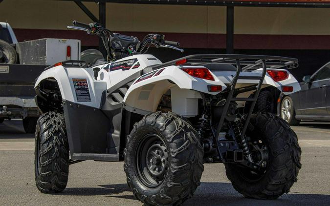 2025 Kawasaki Brute Force® 450 4x4