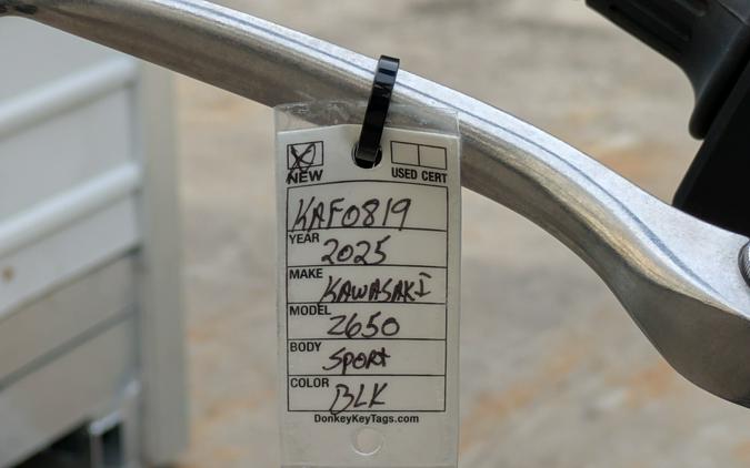 2025 Kawasaki Z650