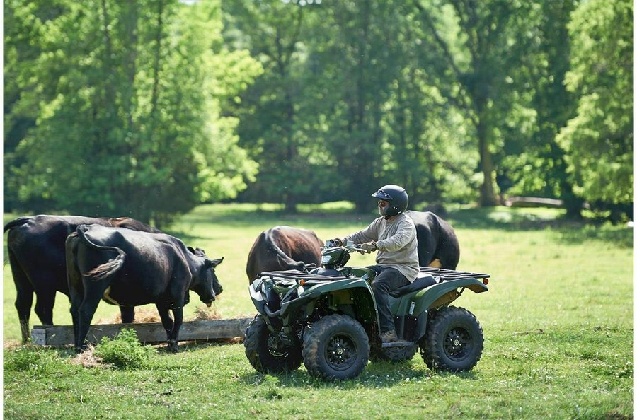 2020 Yamaha Grizzly EPS