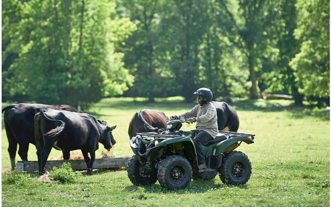 2020 Yamaha Grizzly EPS