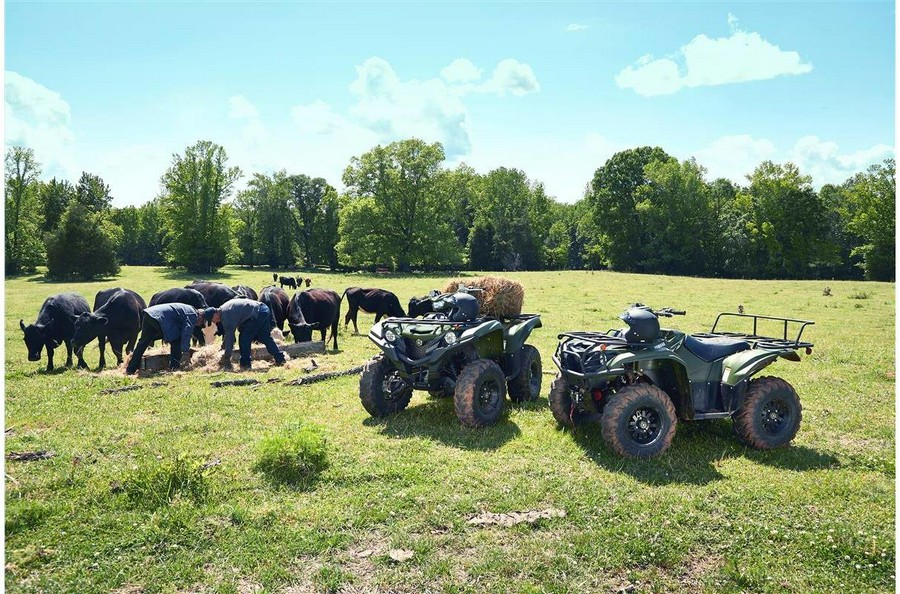 2020 Yamaha Grizzly EPS