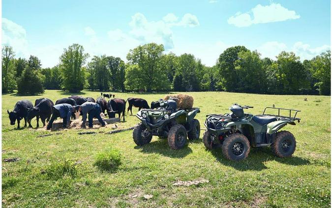 2020 Yamaha Grizzly EPS