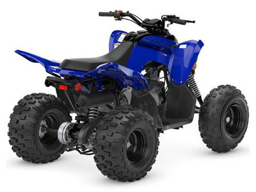 2024 Yamaha Raptor 110