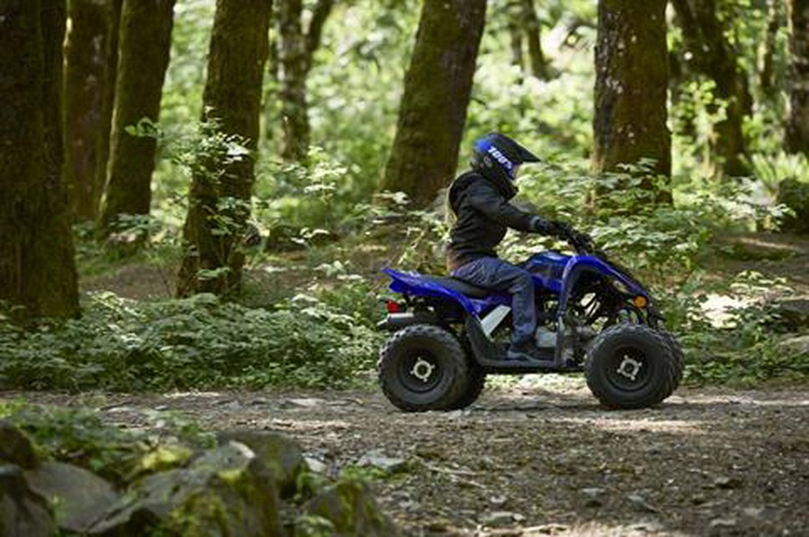 2024 Yamaha Raptor 110