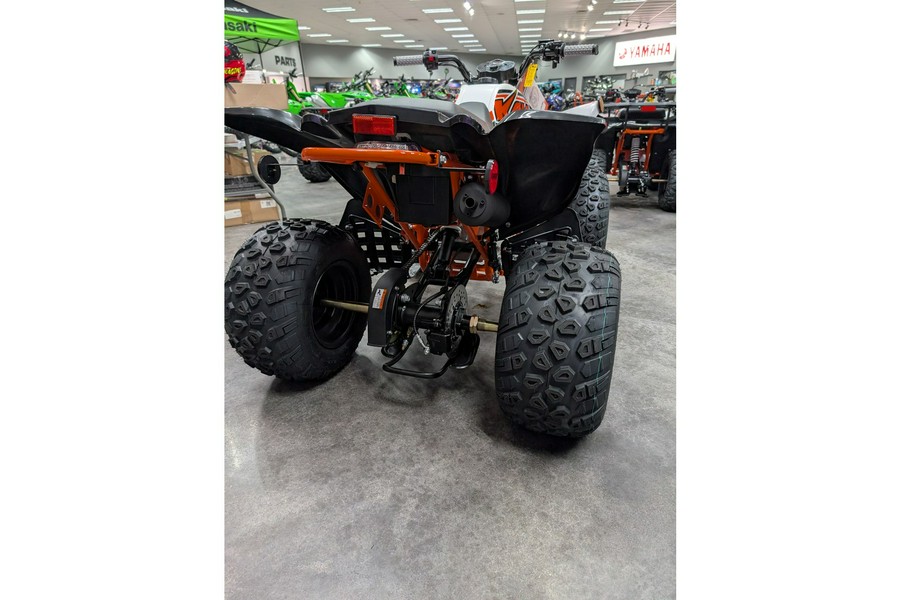 2025 Kayo Storm 150 EFI