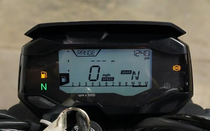 2025 BMW G 310 R Style Passion