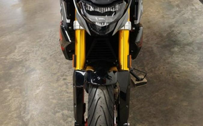 2025 BMW G 310 R Style Passion