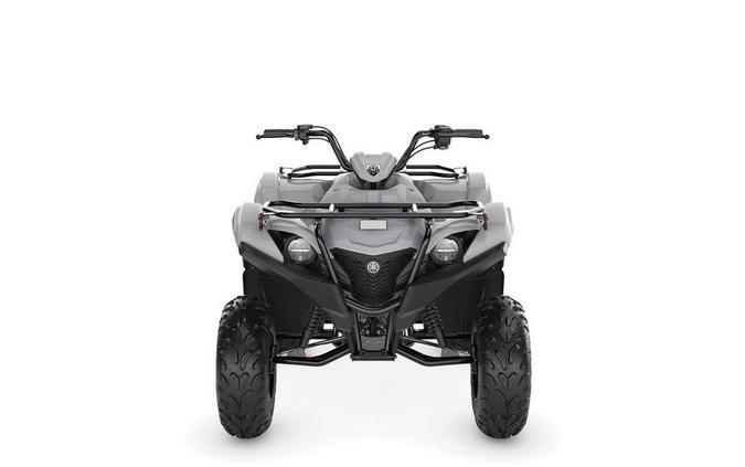 2023 Yamaha Grizzly 90