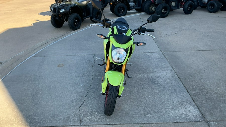 2026 Kawasaki Z125 PRO