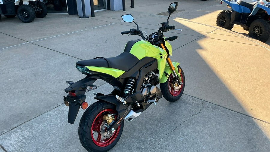 2026 Kawasaki Z125 PRO