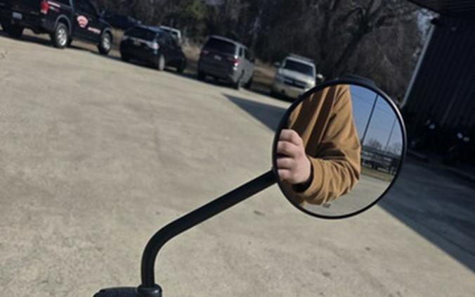 2025 Royal Enfield Bear 650 Wild Honey 650