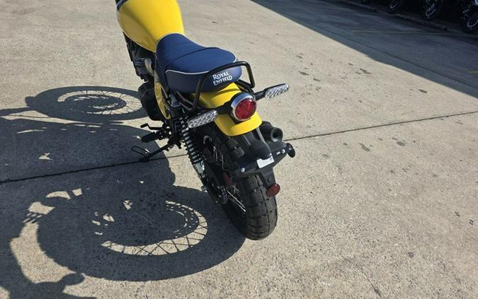 2025 Royal Enfield Bear 650 Wild Honey 650