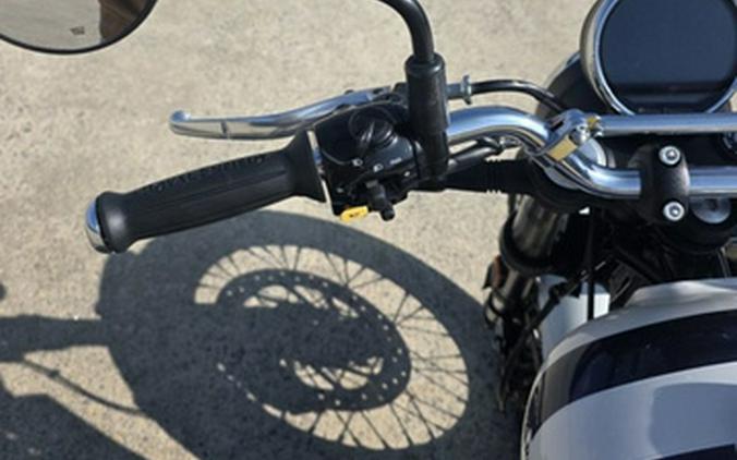 2025 Royal Enfield Bear 650 Wild Honey 650