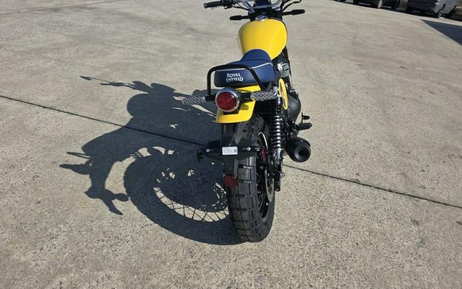 2025 Royal Enfield Bear 650 Wild Honey 650