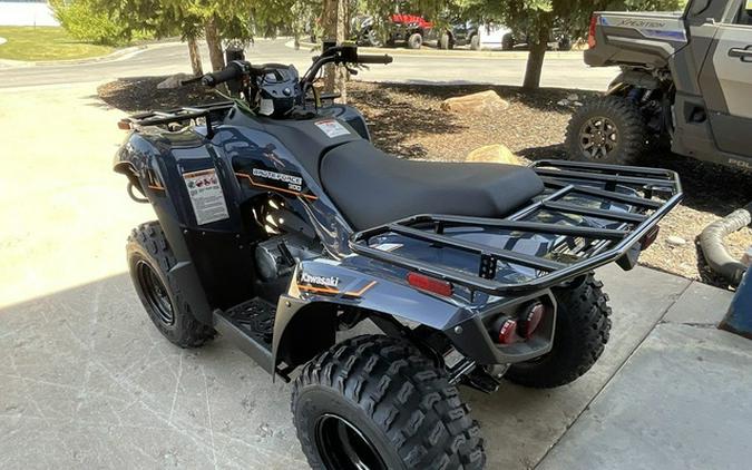 2025 Kawasaki Brute Force 300
