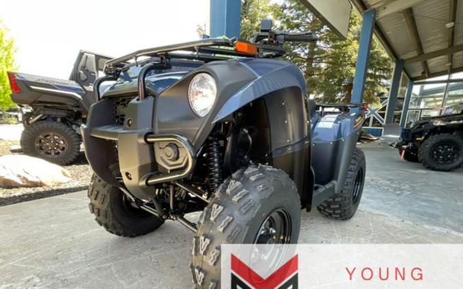 2025 Kawasaki Brute Force 300