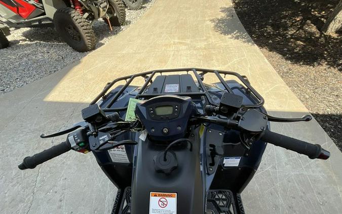 2025 Kawasaki Brute Force 300