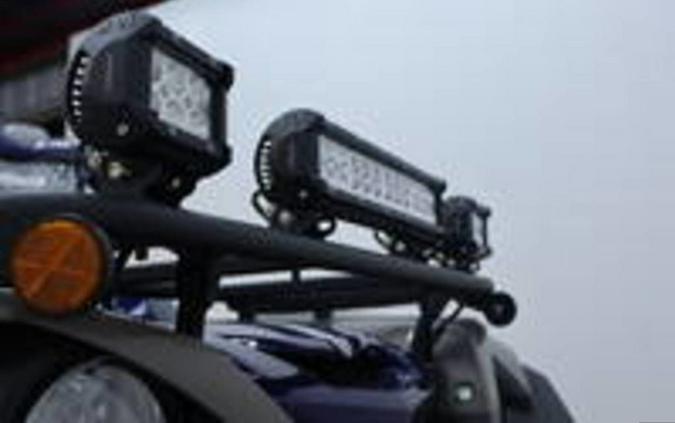 2025 Yamaha Grizzly EPS LTD