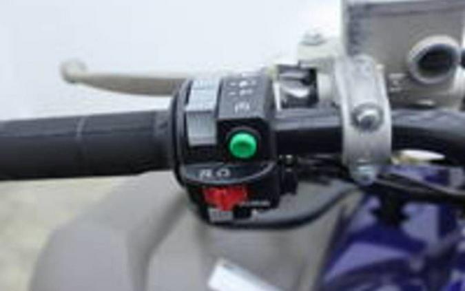2025 Yamaha Grizzly EPS LTD