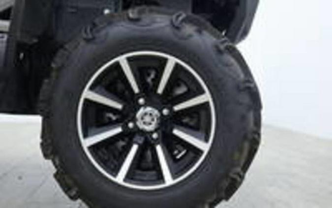 2025 Yamaha Grizzly EPS LTD