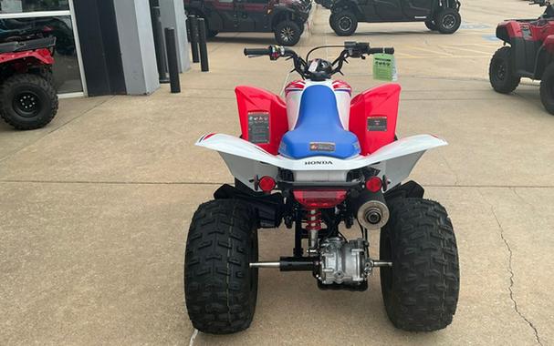2026 Honda TRX 250X