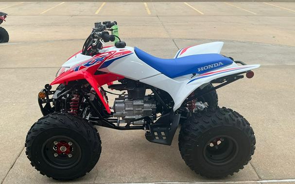 2026 Honda TRX 250X
