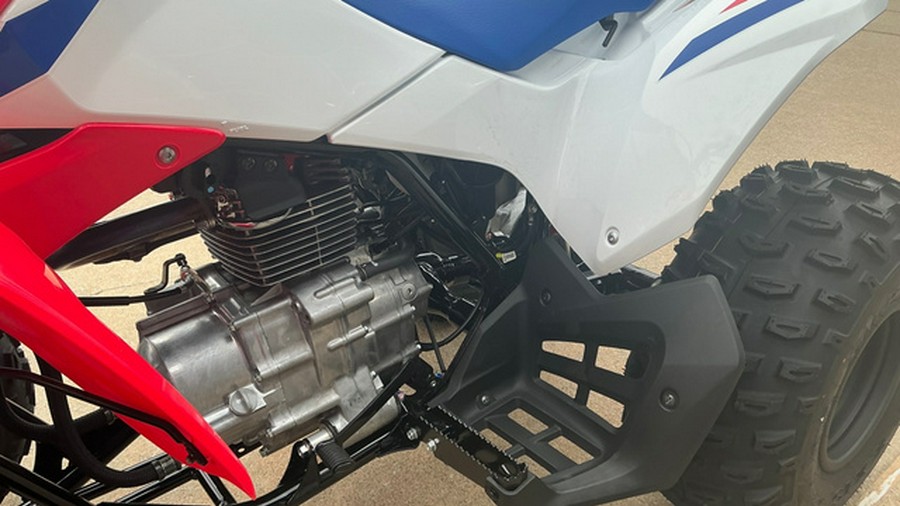 2026 Honda TRX 250X