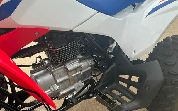2026 Honda TRX 250X