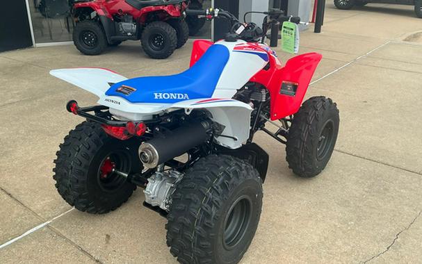 2026 Honda TRX 250X