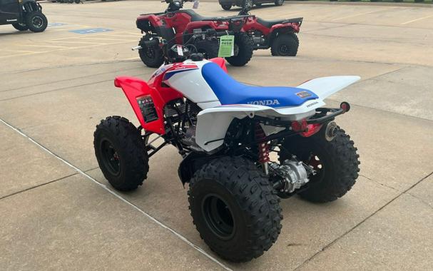 2026 Honda TRX 250X