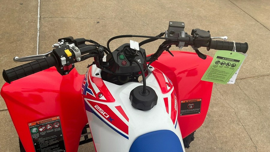 2026 Honda TRX 250X